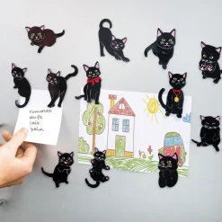 Best Tempsl 12 aimants chat