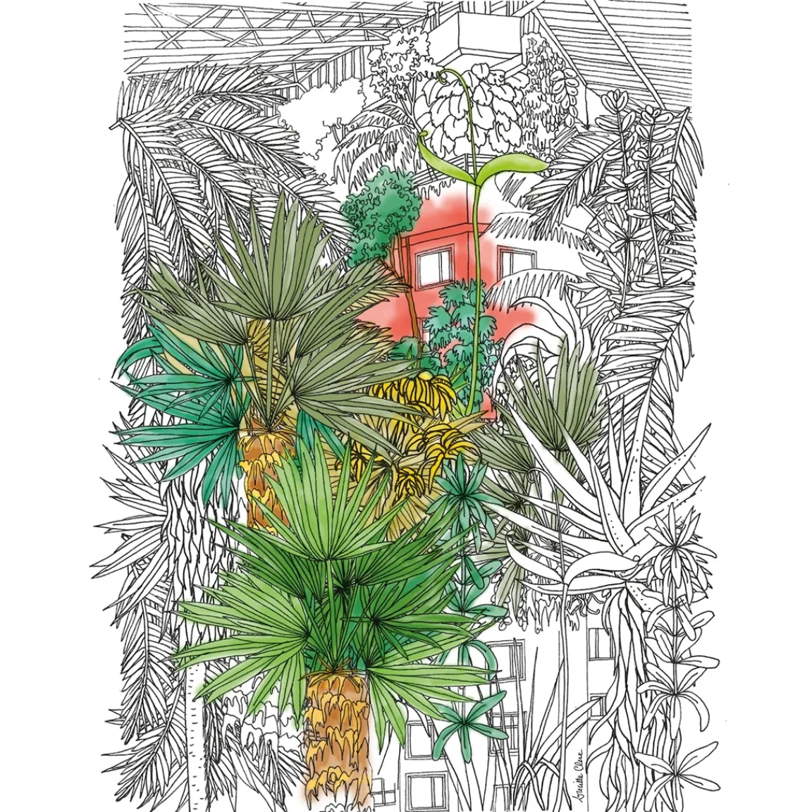 New Tempsl 20 illustrations à colorier - Villes sauvages