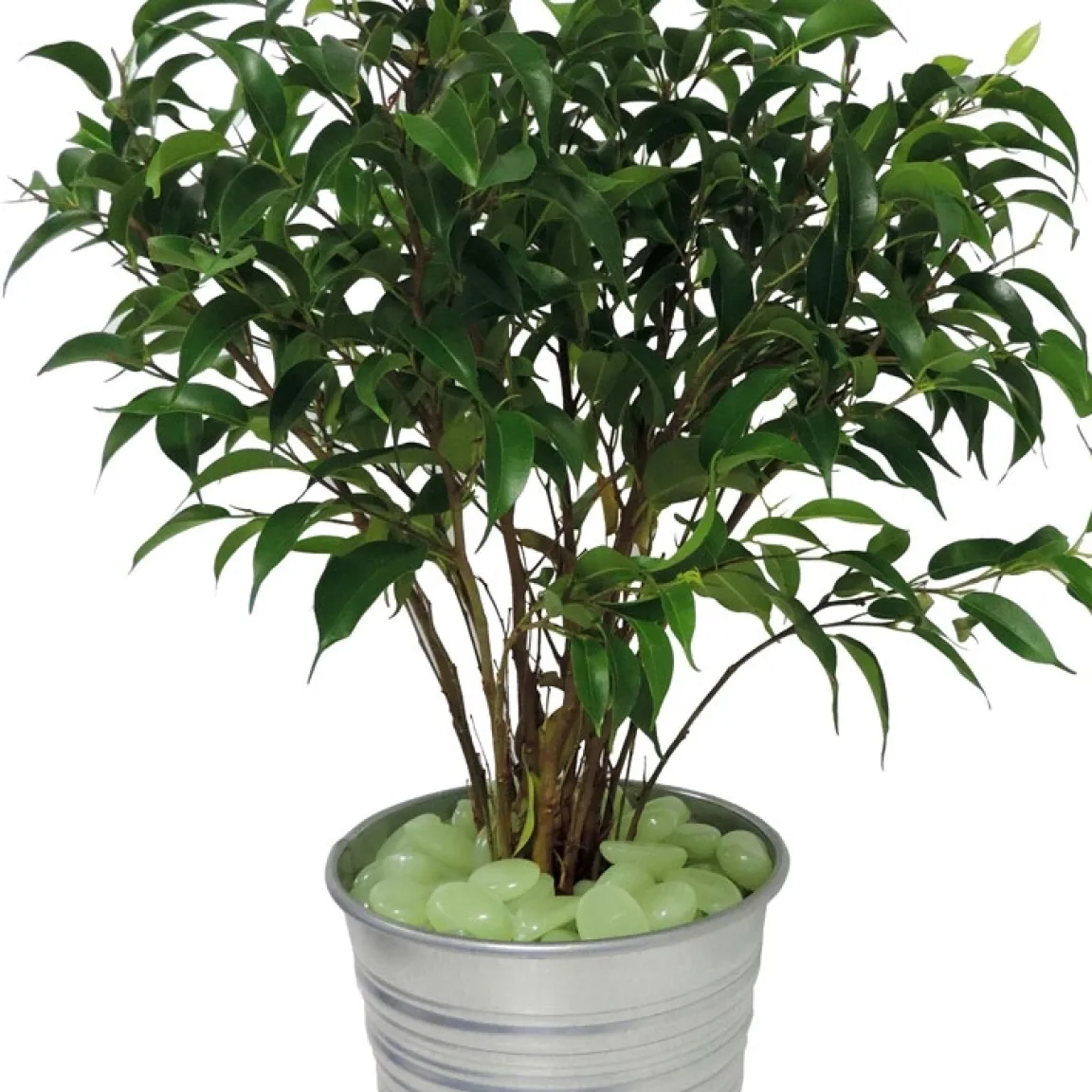 Discount Tempsl 100 pierres phosphorescentes : «vertes» ou «bleues»