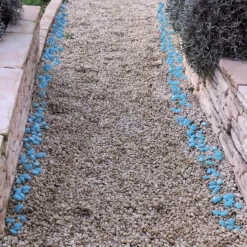 Discount Tempsl 100 pierres phosphorescentes : «vertes» ou «bleues»