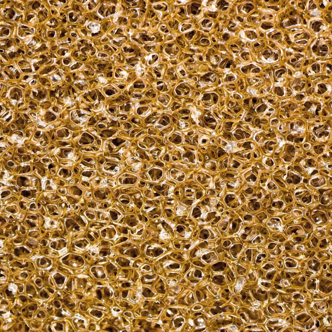 Discount Tempsl 4 éponges chat