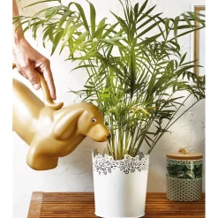 Clearance Tempsl Arrosoir chat ou chien