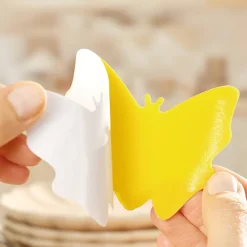 Hot Tempsl Attrappe moucherons ananas