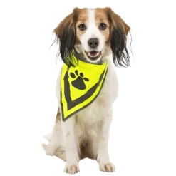 Sale Tempsl Bandana sécurité pour chien taille S/M