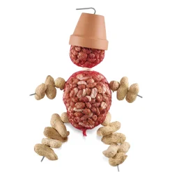 Online Tempsl Bonhomme aux oiseaux