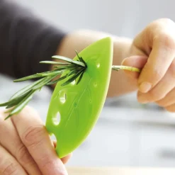 Sale Tempsl Boîte conservation fines herbes