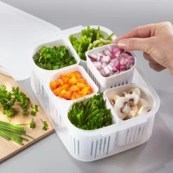 New Tempsl Boîte de conservation compartimentée