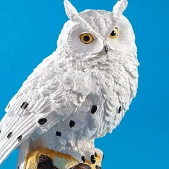 Online Tempsl Branche 3 chouettes des neiges