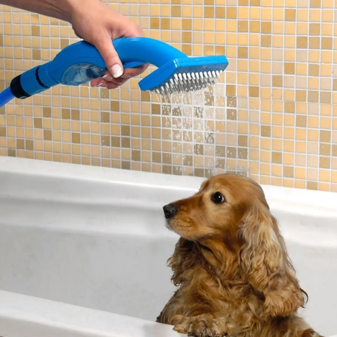 Tempsl Brosse douche animaux