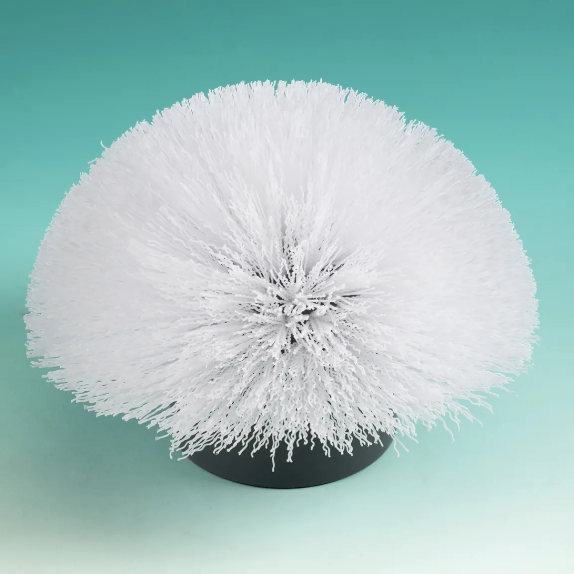 Outlet Tempsl Brosse nettoyante télescopique