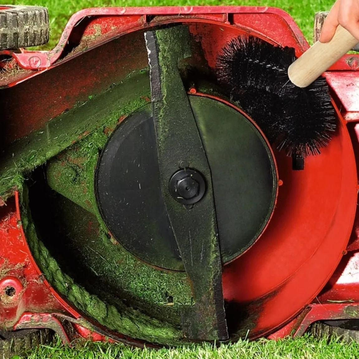 Best Tempsl Brosse tondeuse