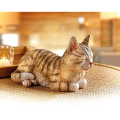 Online Tempsl Chat endormi