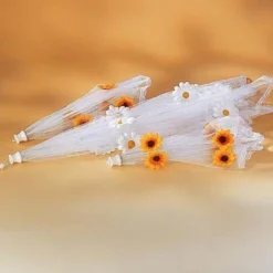 New Tempsl Cloche protège aliments