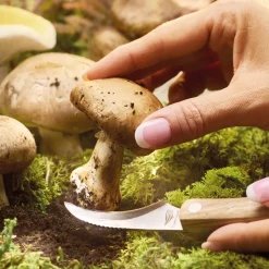 Hot Tempsl Couteau champignon