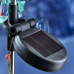 Sale Tempsl Etoile poinsettia solaire