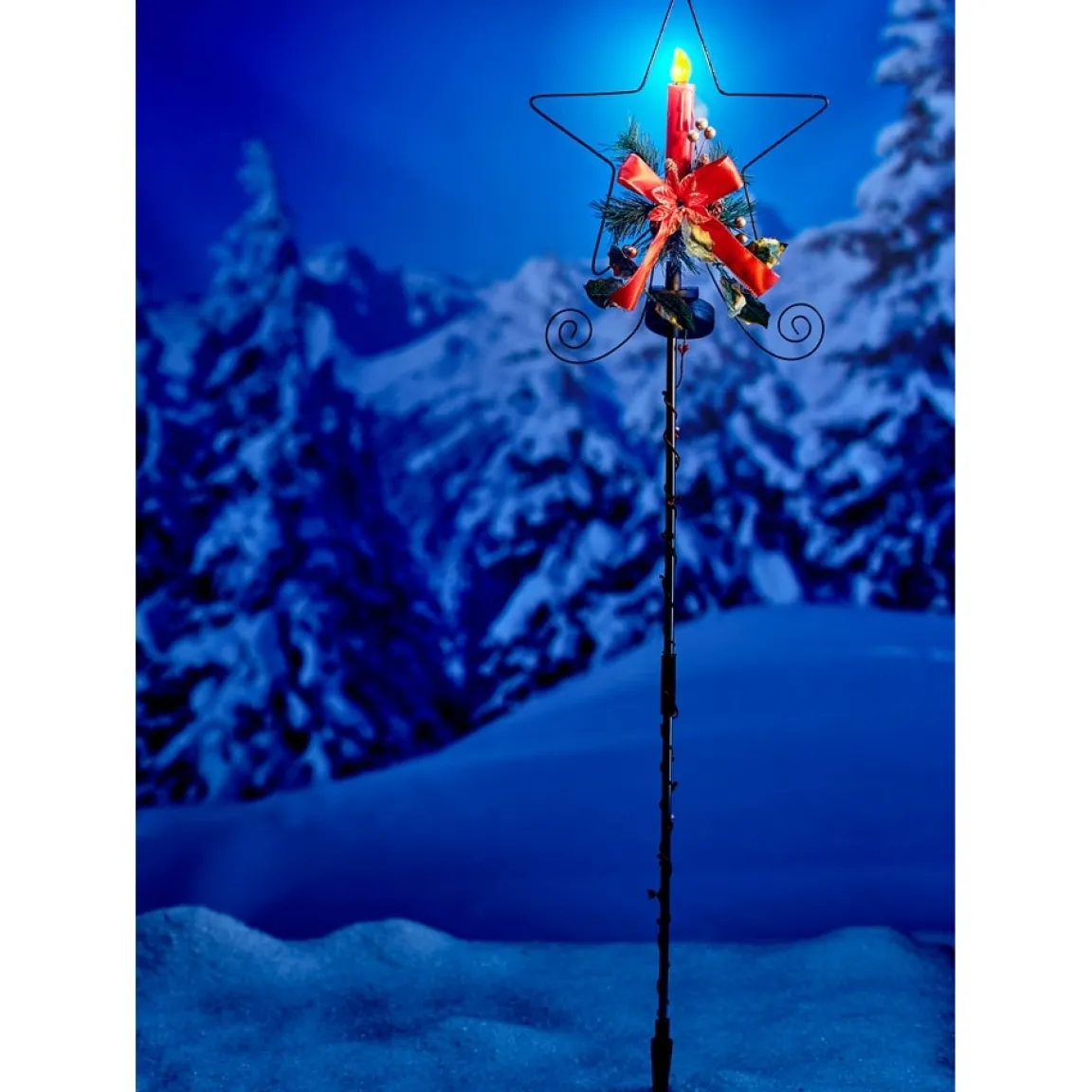 Sale Tempsl Etoile poinsettia solaire