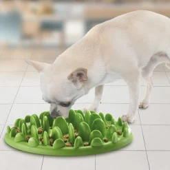 Outlet Tempsl Gamelle anti-gloutonnerie Chien ou chat