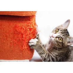 Online Tempsl Griffoir perfect griffes