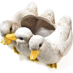 Clearance Tempsl Jardinière canetons