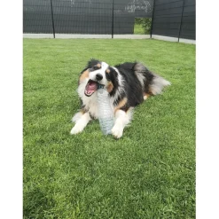 Sale Tempsl Jouet pour chien Crunchy Bone