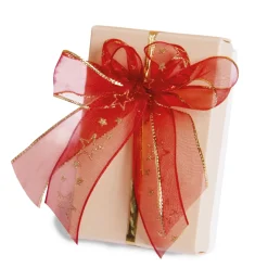 Tempsl Kit pour créer des nœuds Offre Noël