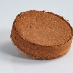 Hot Tempsl Kit trèfles à 4 feuilles