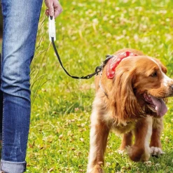 Sale Tempsl Laisse avec enrouleur