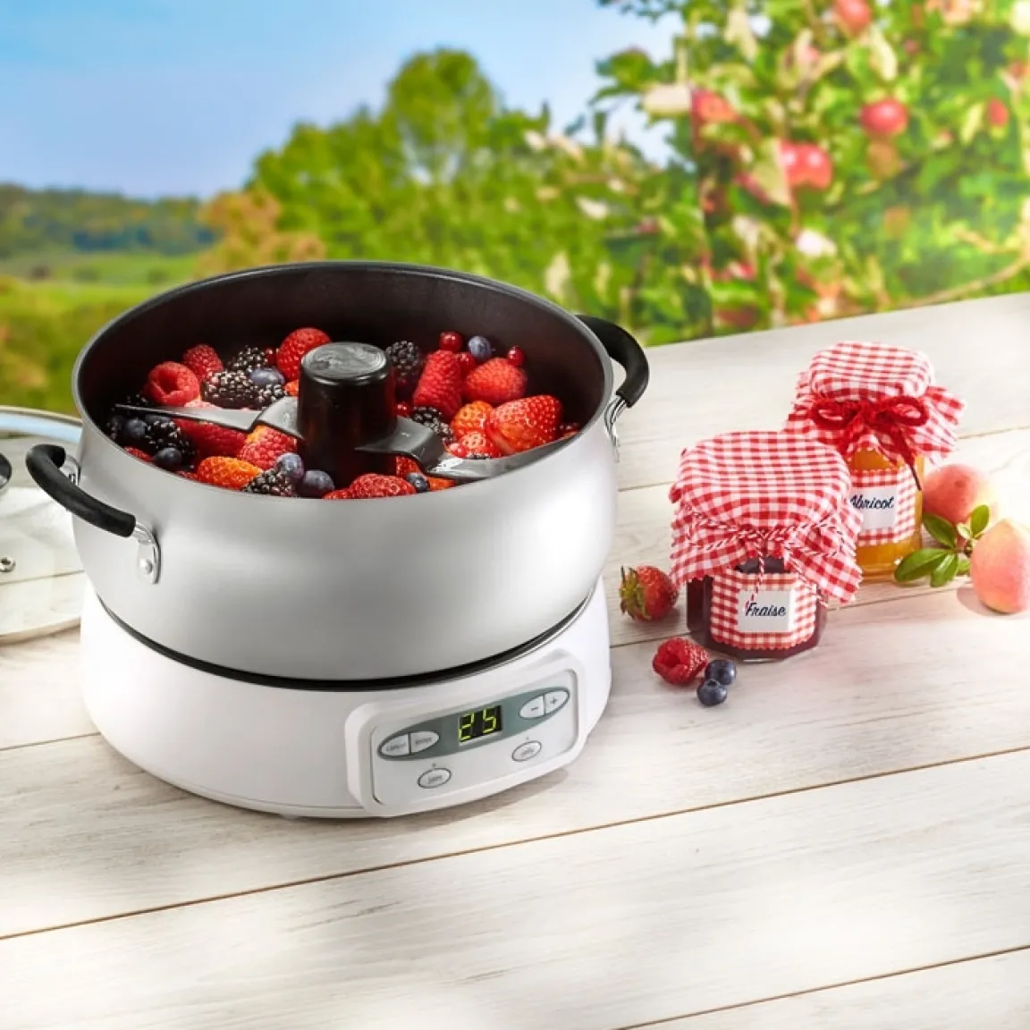 Discount Tempsl Livre "Confitures, gelées et marmelades"