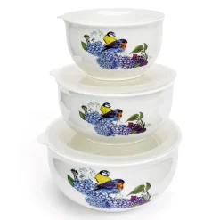 Clearance Tempsl Lot de 3 bols avec couvercle oiseaux