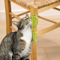 Online Tempsl Lot de 2 grattoirs chats