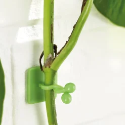 Discount Tempsl Lot de 50 guides de croissance