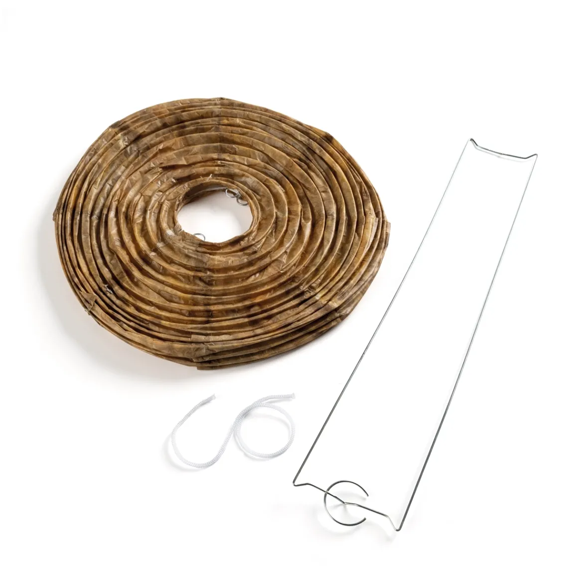 Tempsl Lot de 2 leurres à guêpes