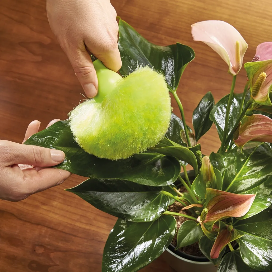 Best Tempsl Lot de 2 pompons anti-poussière