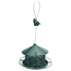 Hot Tempsl Mangeoire oiseaux