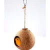 Sale Tempsl Nichoir coco pour oiseaux
