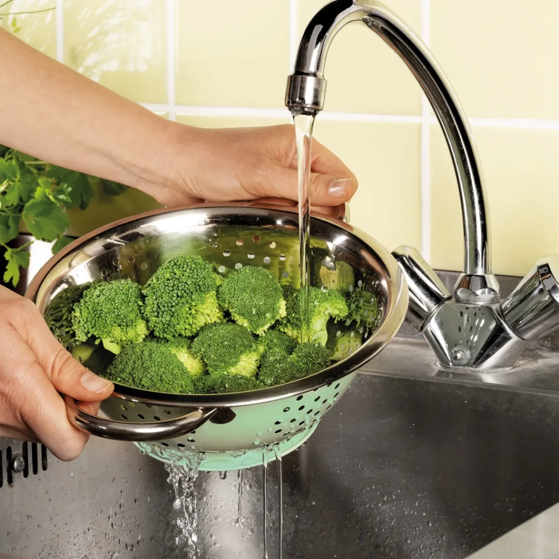 New Tempsl Passoire vintage