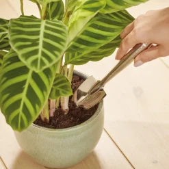 Online Tempsl Pelle pour pot