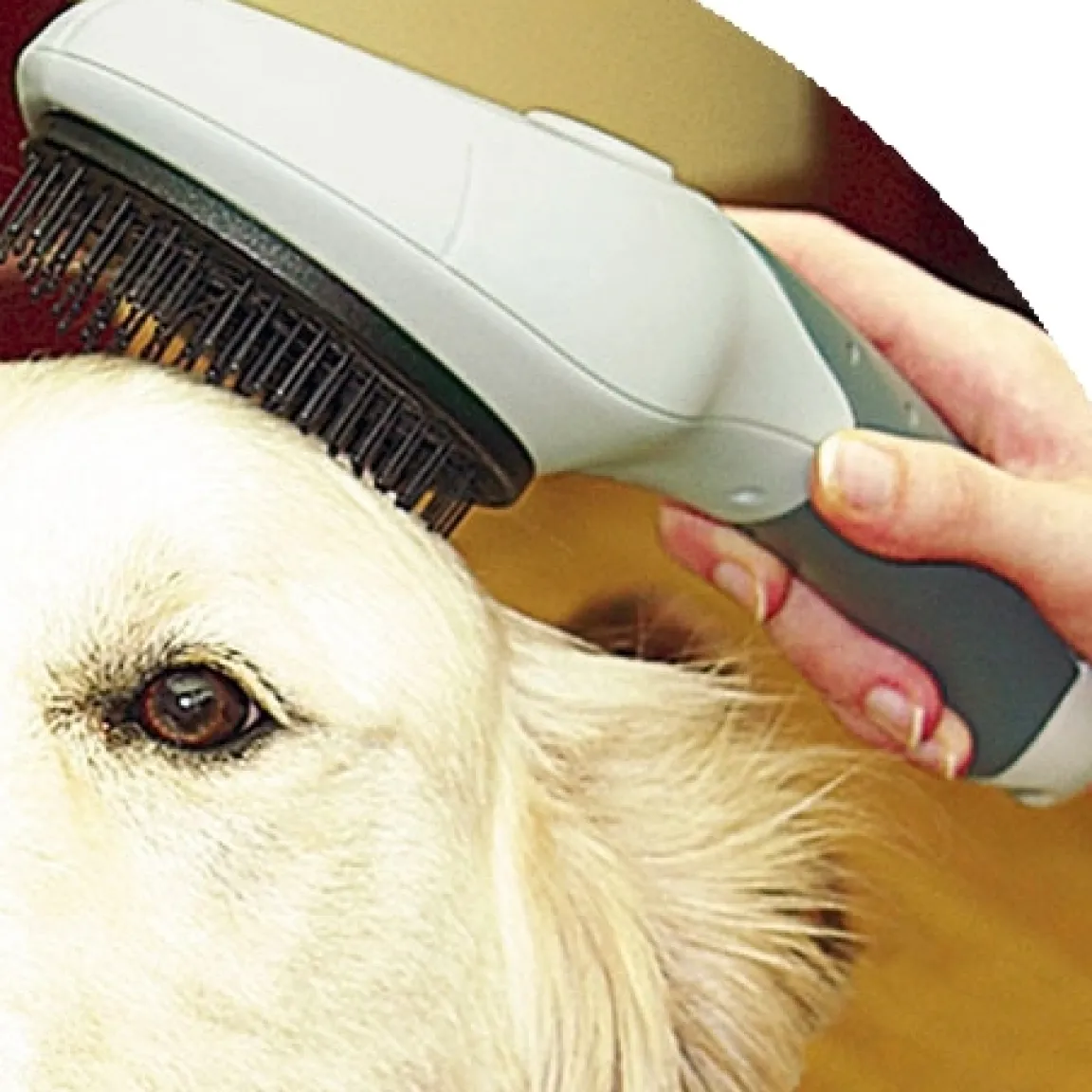 Sale Tempsl Pile carré