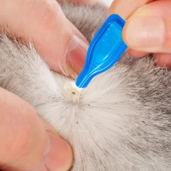 Clearance Tempsl Pipettes stop parasites