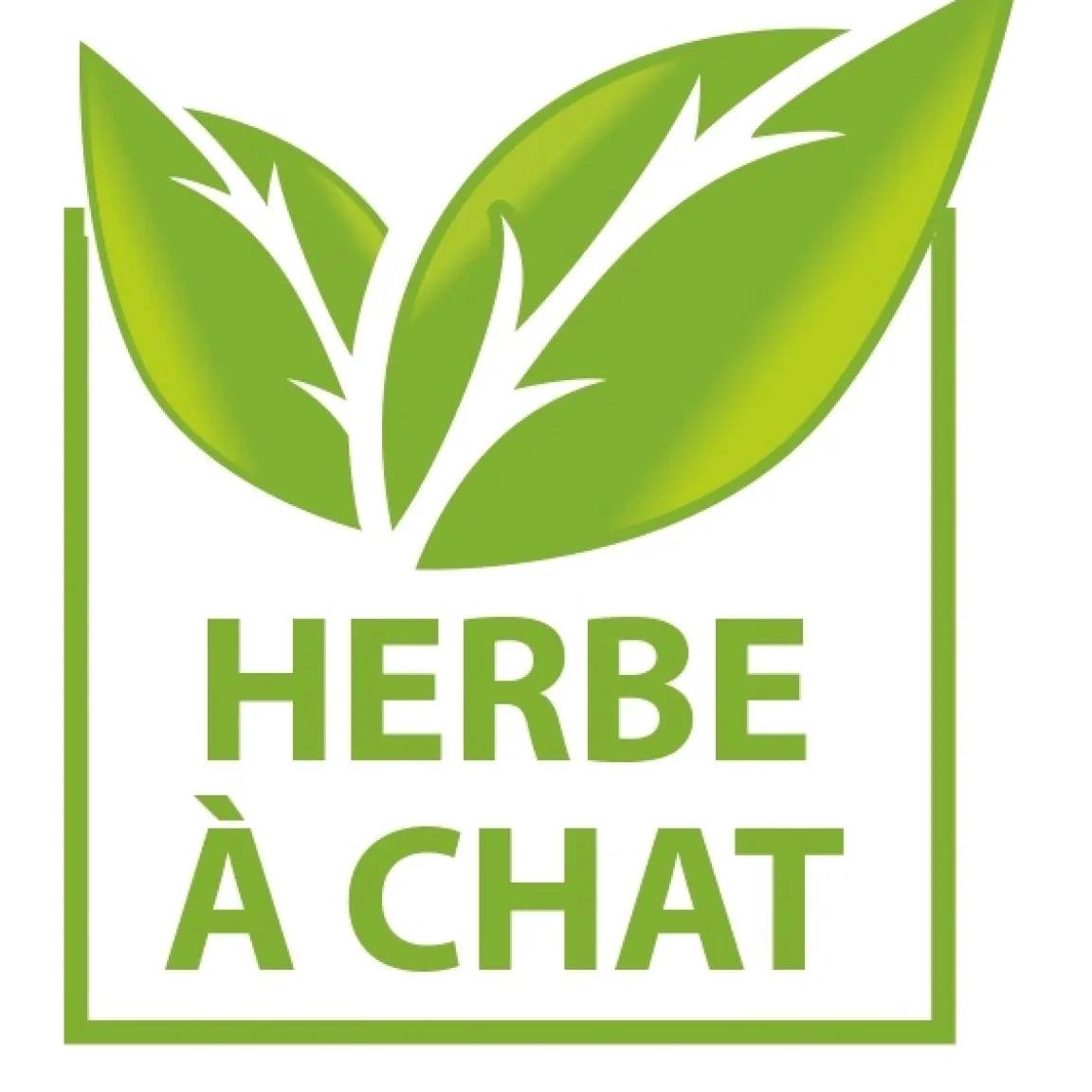 Clearance Tempsl Poisson clown gigotant pour chat