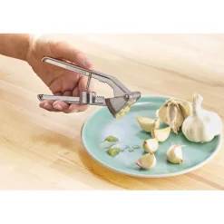 Hot Tempsl Presse-ail dénoyauteur