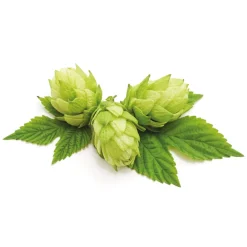 Online Tempsl Pâte orale Vermi'délice chat/chien