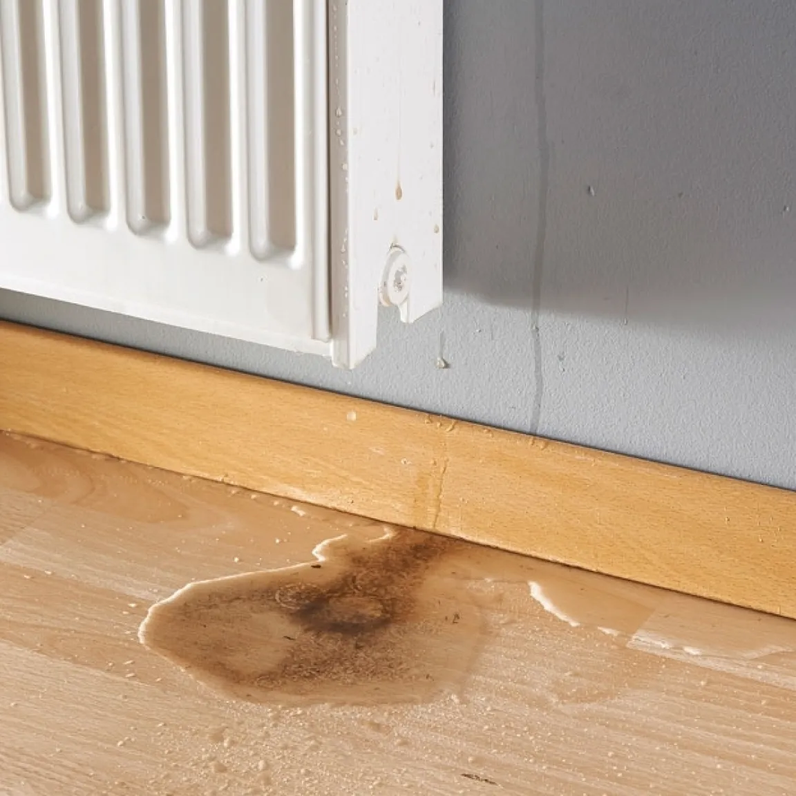 New Tempsl Purgeur de Radiateur