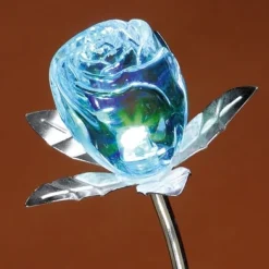 Online Tempsl Rose changement de couleur