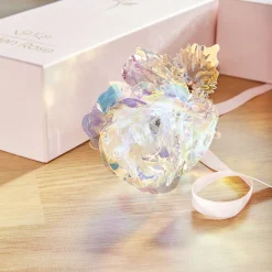 Discount Tempsl Rose dans son coffret