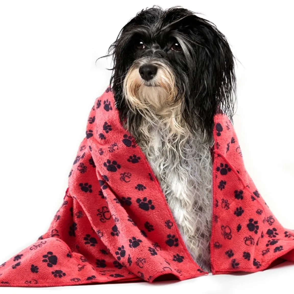 Discount Tempsl Serviette microfibre : divers coloris