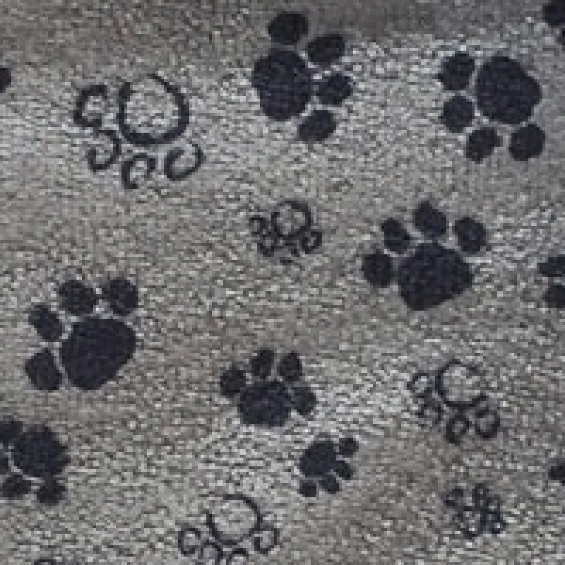 Discount Tempsl Serviette microfibre : divers coloris