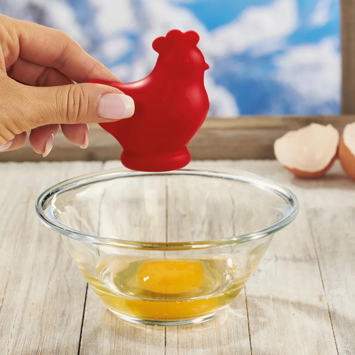 Best Tempsl Séparateur oeufs poule