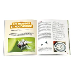 Sale Tempsl Stratégie anti-bestioles à la maison