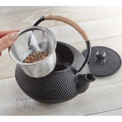 Discount Tempsl Théière fonte japonaise